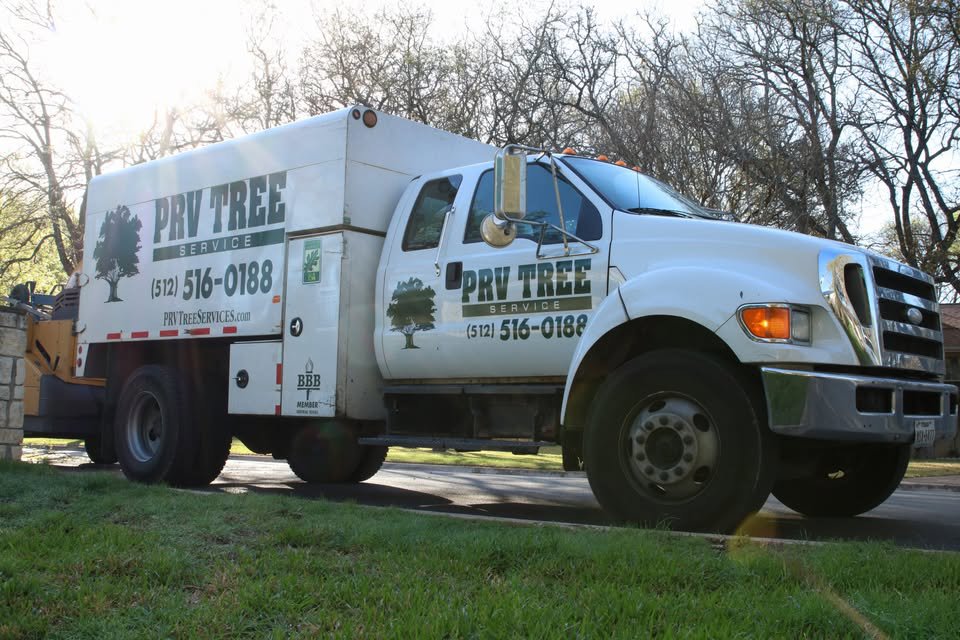 Business queued-photos - PRV Tree Service