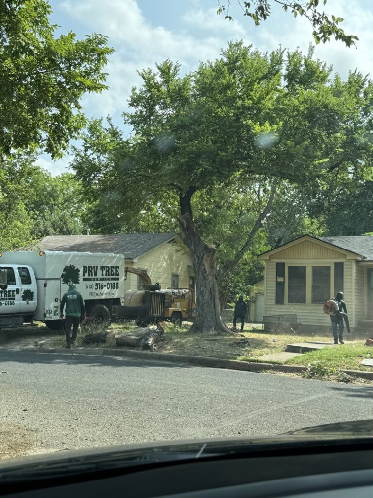 Business queued-photos - PRV Tree Service