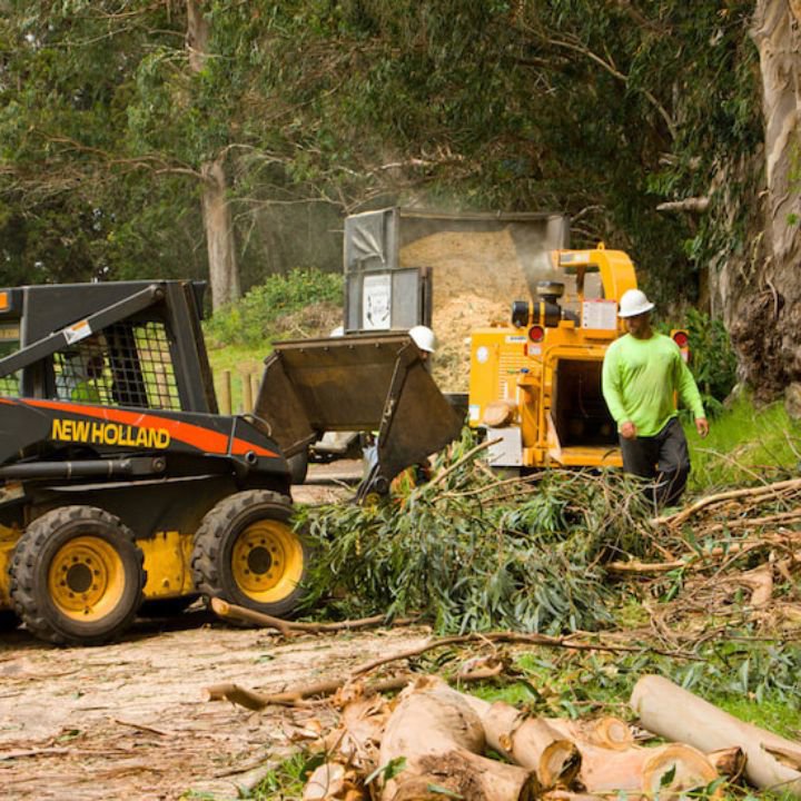 Business queued-photos - PRV Tree Service