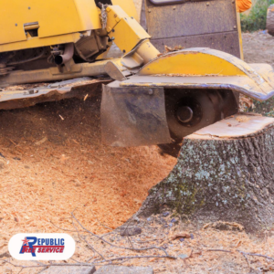 Business queued-photos - Republic Tree Service