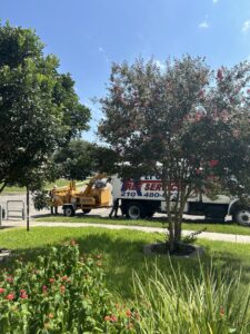 Business queued-photos - Republic Tree Service