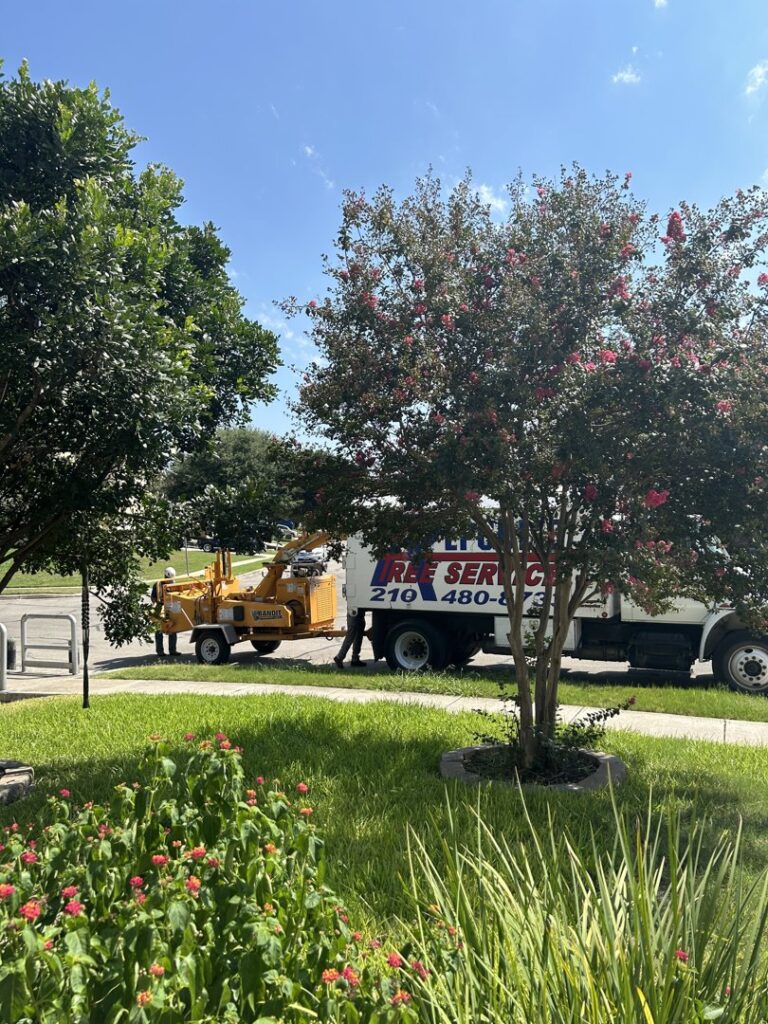 Business queued-photos - Republic Tree Service