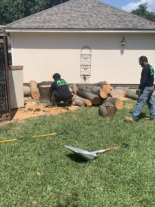 Business queued-photos - Republic Tree Service