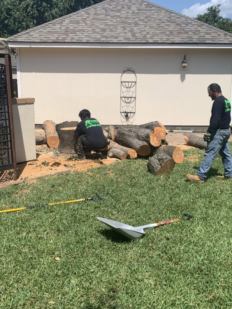 Business queued-photos - Republic Tree Service