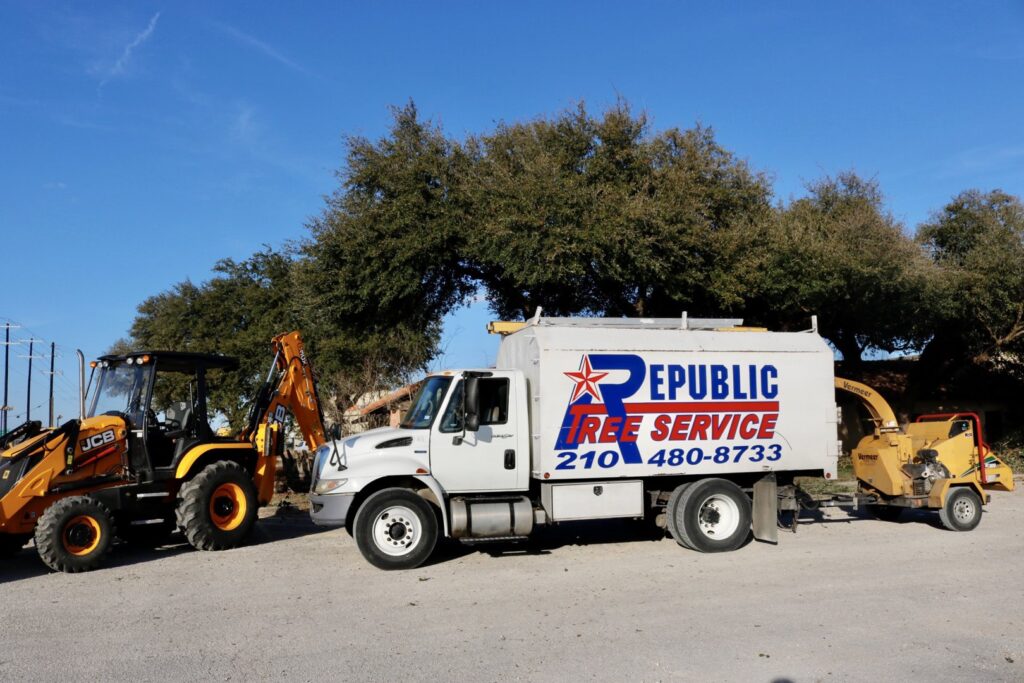 Business queued-photos - Republic Tree Service