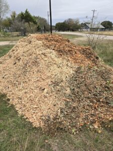 Business queued-photos - Republic Tree Service