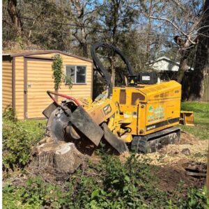 Business queued-photos - N&E Tree Service LLC