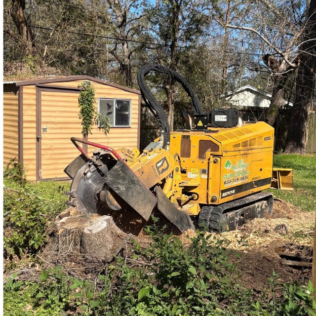 Business queued-photos - N&E Tree Service LLC