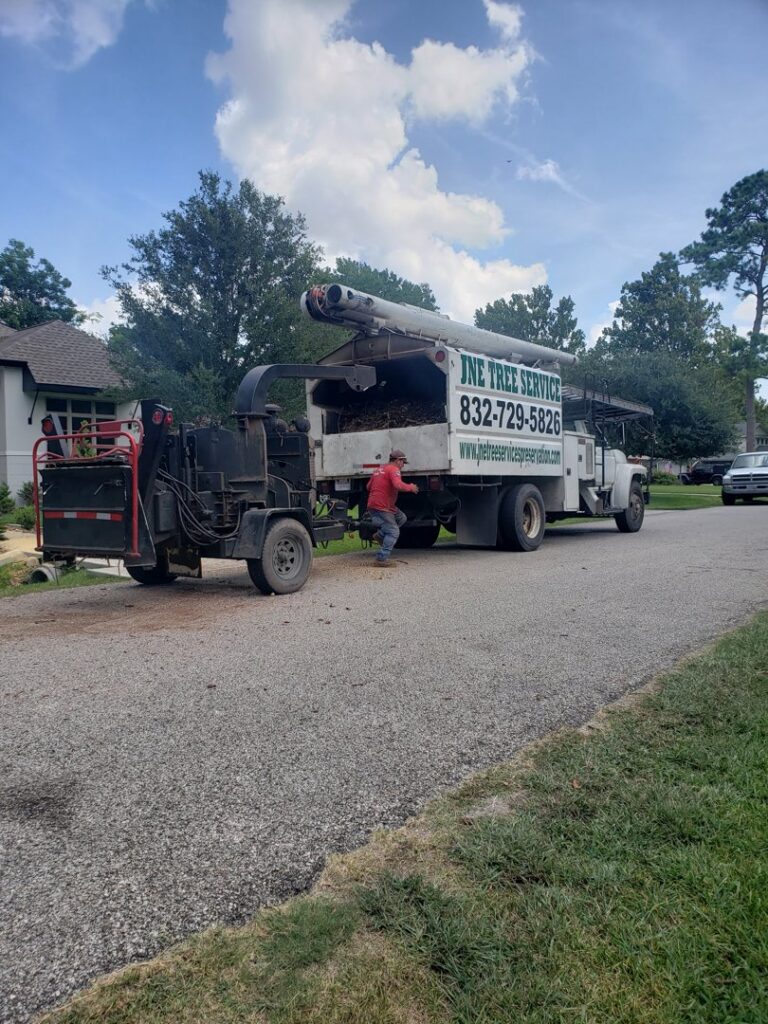 Business queued-photos - N&E Tree Service LLC