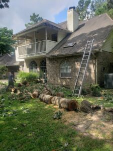 Business queued-photos - N&E Tree Service LLC