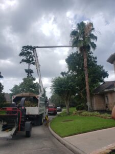 Business queued-photos - N&E Tree Service LLC