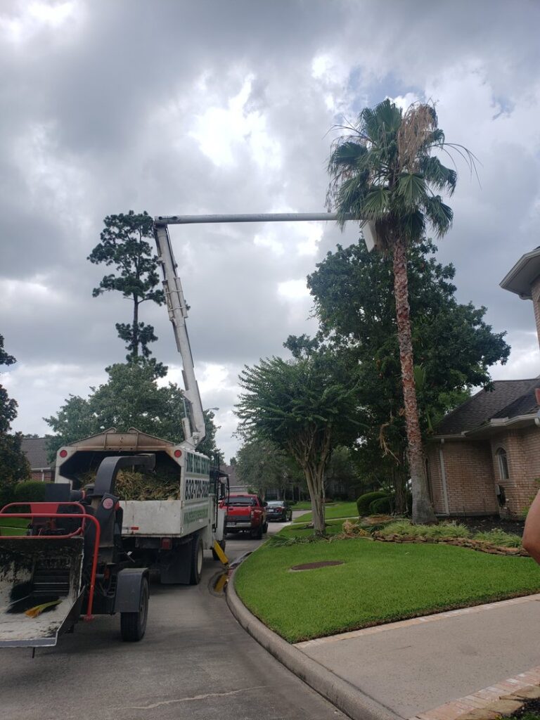Business queued-photos - N&E Tree Service LLC