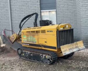 Business queued-photos - N&E Tree Service LLC