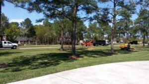 Business queued-photos - N&E Tree Service LLC
