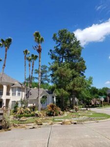 Business queued-photos - N&E Tree Service LLC