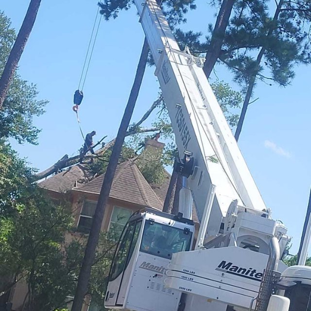 Business queued-photos - N&E Tree Service LLC