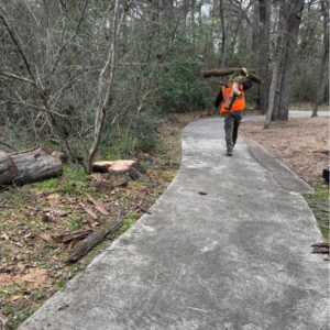 Business queued-photos - N&E Tree Service LLC