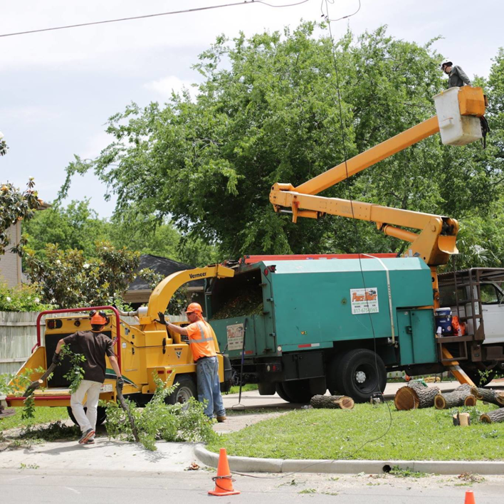 Business queued-photos - Price Right Professional Landscaping & Tree Service