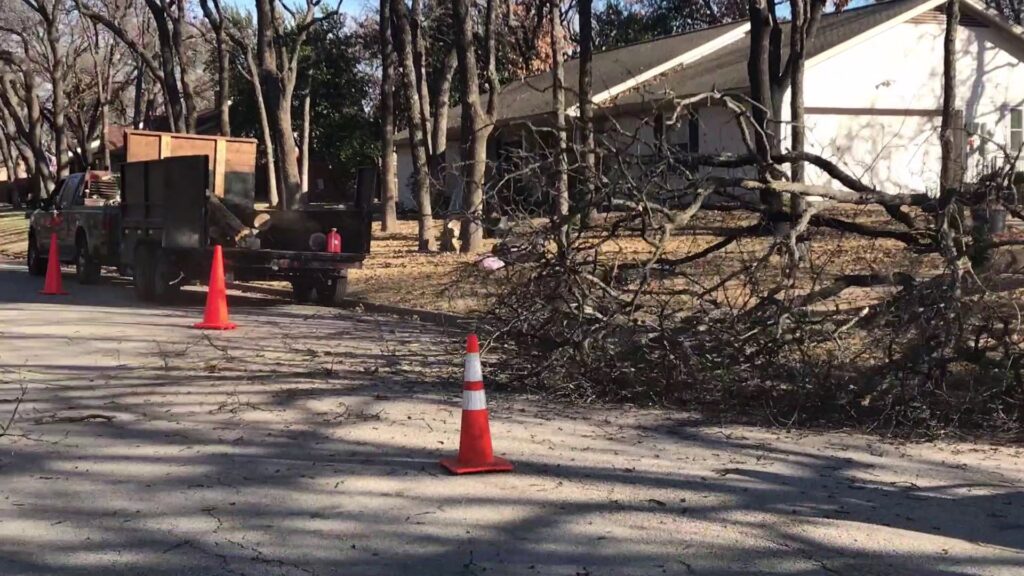 Business queued-photos - Price Right Professional Landscaping & Tree Service