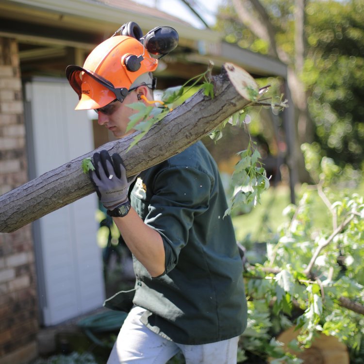 Business queued-photos - Price Right Professional Landscaping & Tree Service