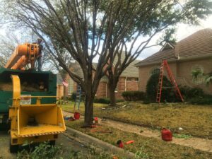 Business queued-photos - Price Right Professional Landscaping & Tree Service