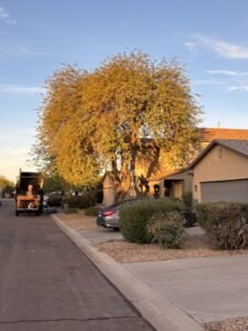 Business queued-photos - Pros Tree and Landscape