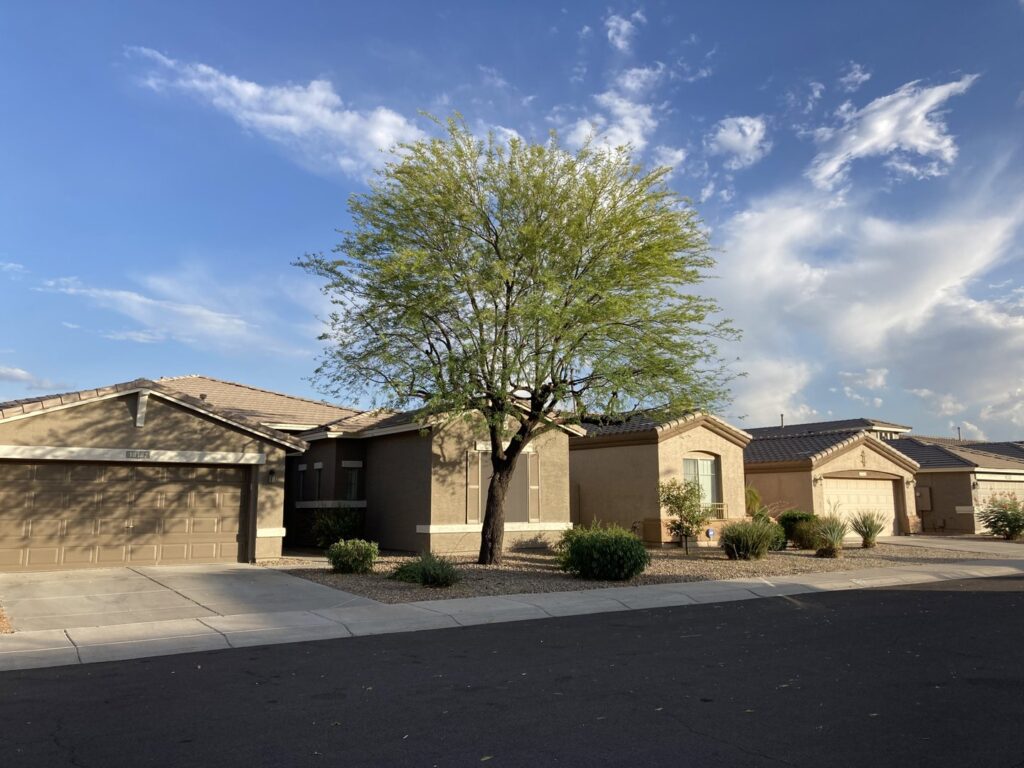 Business queued-photos - Pros Tree and Landscape