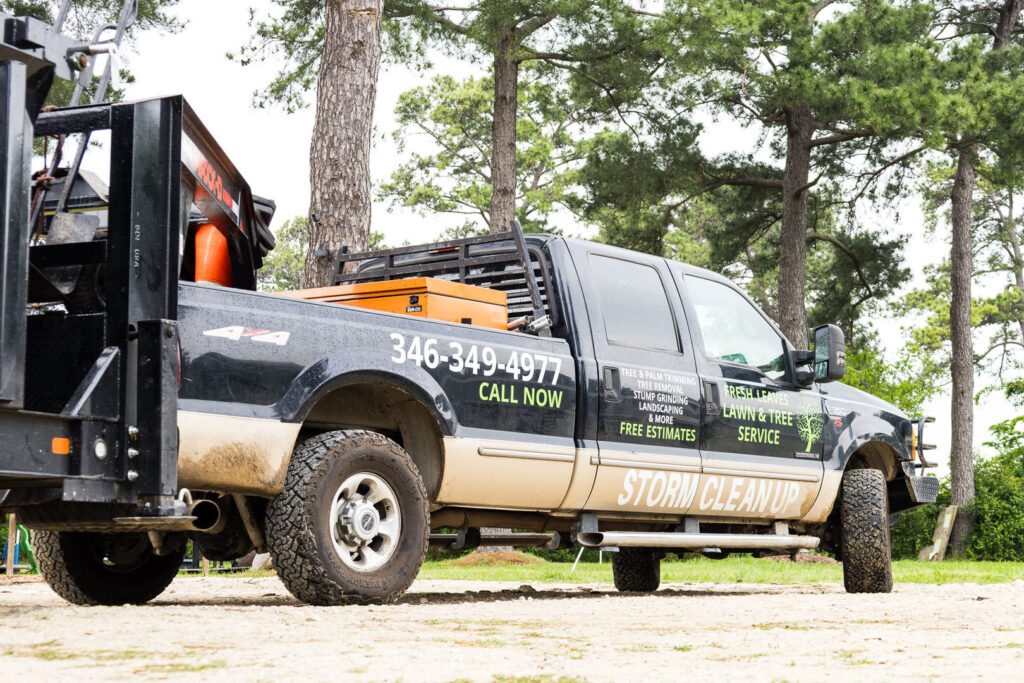 Business queued-photos - Fresh Leaves Lawn & Tree Service