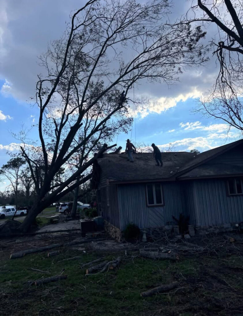 Business queued-photos - Fresh Leaves Lawn & Tree Service