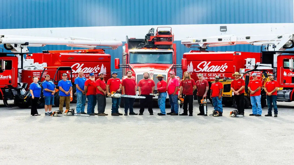 Business queued-photos - Shaws Tree Service