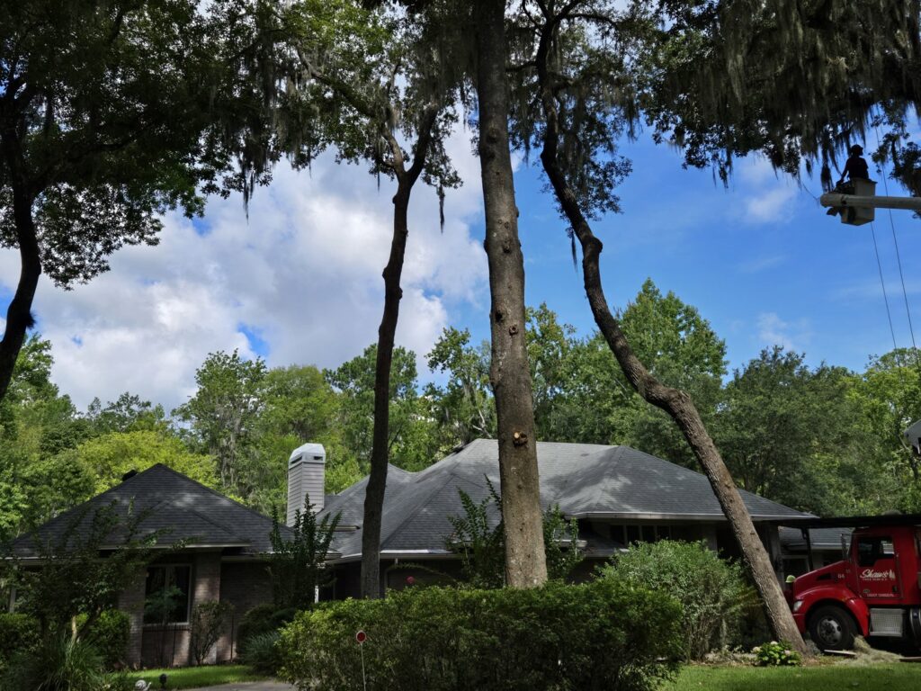 Business queued-photos - Shaws Tree Service