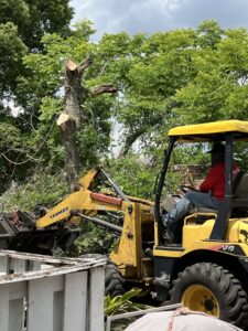Business queued-photos - Shaws Tree Service