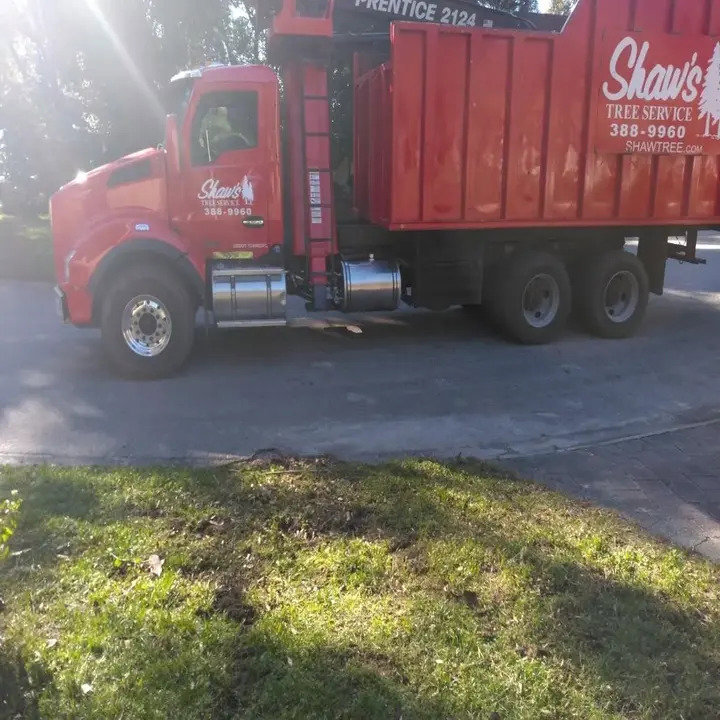 Business queued-photos - Shaws Tree Service