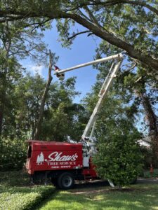 Business queued-photos - Shaws Tree Service