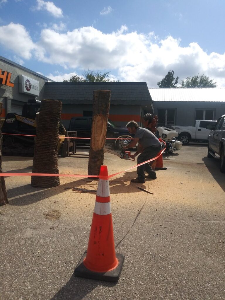 Business queued-photos - Shaws Tree Service