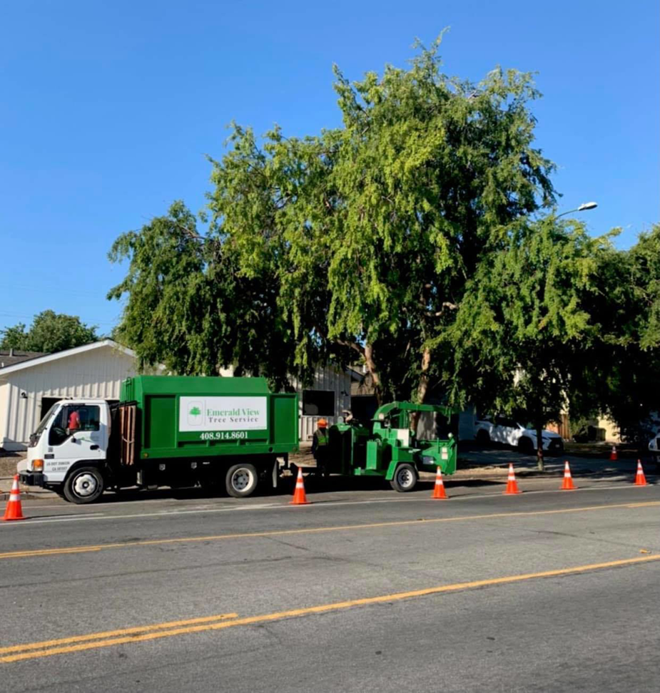 Business queued-photos - Emerald View Tree Service