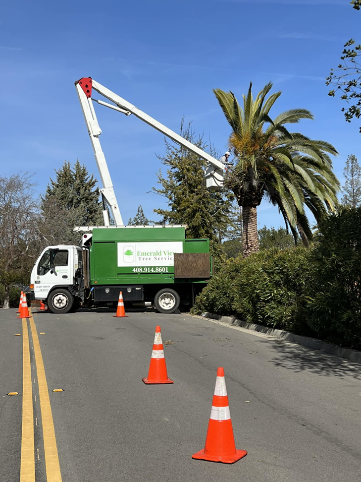 Business queued-photos - Emerald View Tree Service