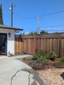 Business queued-photos - Emerald View Tree Service