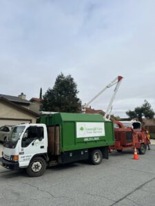 Business queued-photos - Emerald View Tree Service