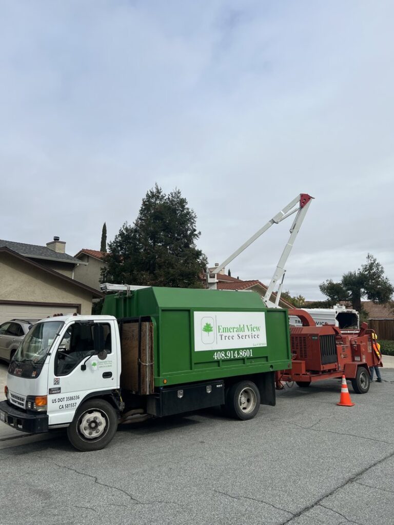 Business queued-photos - Emerald View Tree Service
