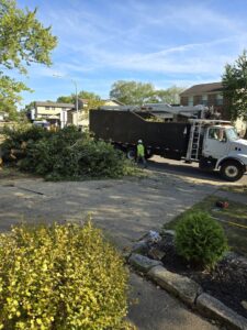 Business queued-photos - ES Tree Services Llc