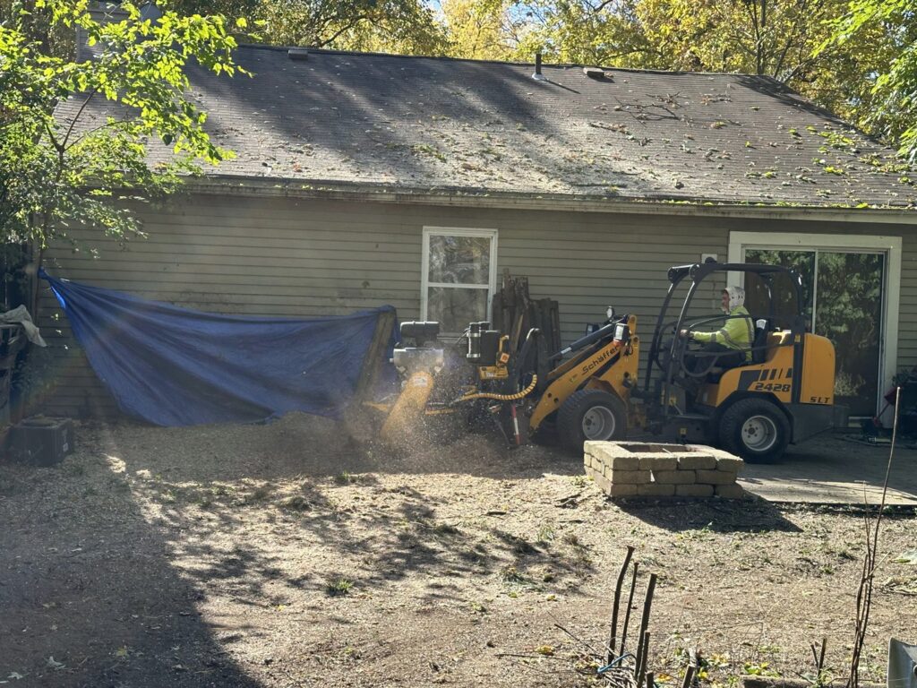 Business queued-photos - ES Tree Services Llc