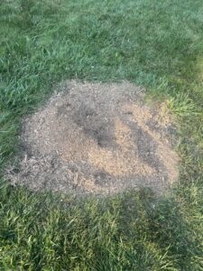 Business queued-photos - ES Tree Services Llc