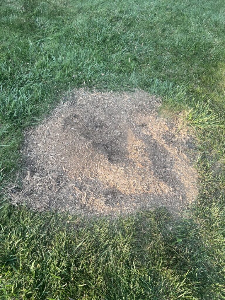 Business queued-photos - ES Tree Services Llc