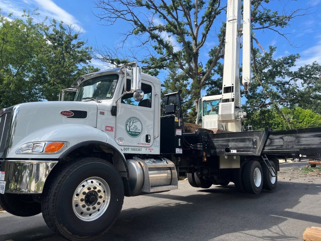 Business queued-photos - JL Tree Services