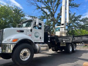 Business queued-photos - JL Tree Services