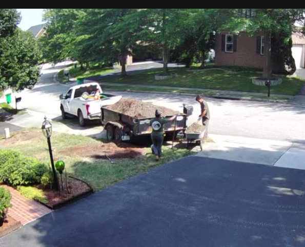 Business queued-photos - JL Tree Services