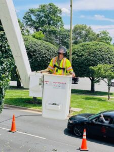 Business queued-photos - JL Tree Services