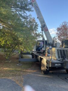 Business queued-photos - JL Tree Services