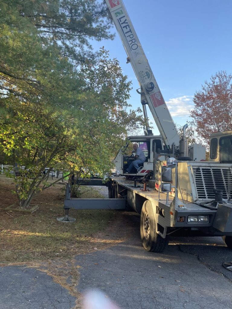 Business queued-photos - JL Tree Services